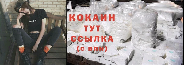 дурь Бронницы