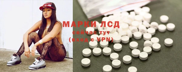 крисы Бородино