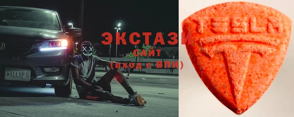 крисы Бородино