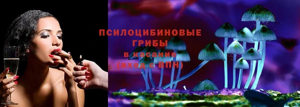 амф Бугульма