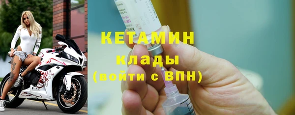 крисы Бородино