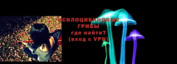 амф Бугульма