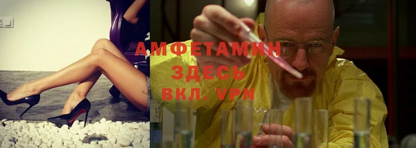 крисы Бородино