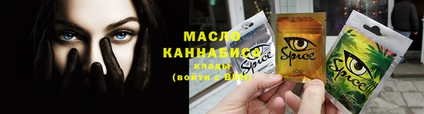 крисы Бородино