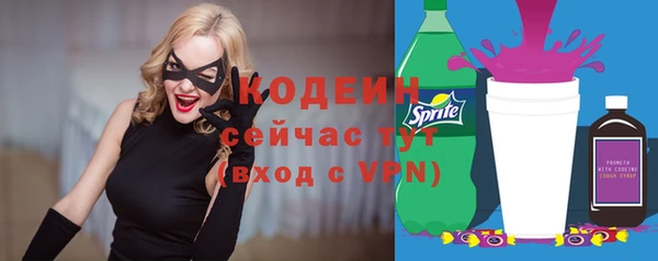 крисы Бородино
