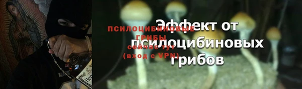 амф Бугульма