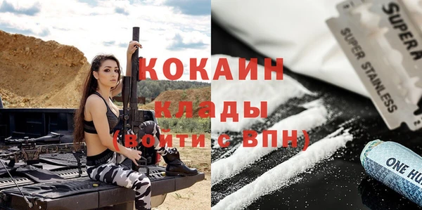крисы Бородино