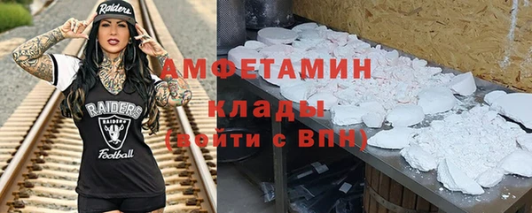 крисы Бородино