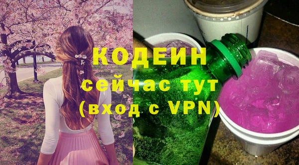 крисы Бородино