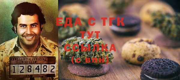 крисы Бородино