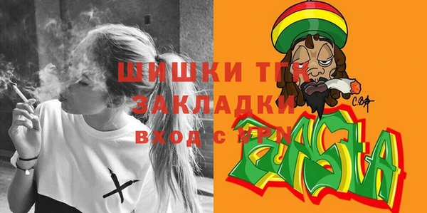 крисы Бородино