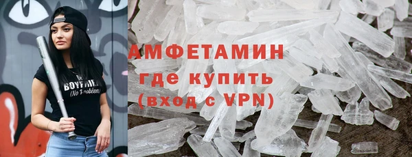 крисы Бородино