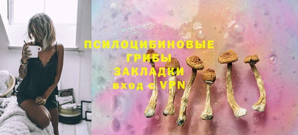 дурь Бронницы